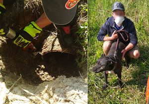 Hasiči v Ostravě zachraňovali psa, který uvázl v rouře.