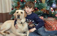 Autista (8) si poprvé užil Vánoce: S tím nejdůležitějším mu pomohl pes!