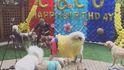 Si-cchungův pes se dostal do médií už v lednu díky luxusní oslavě druhých narozenin.