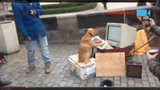 Rarita na Karlově mostě: Pes na počítači napíše, co říkáte!