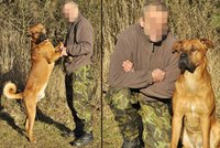 Armádnímu psovodovi ukradli vzácného psa!