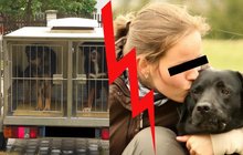 Veterináři: Chovatelka porušila zákon! Psy držela v klecích!