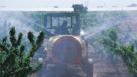 Evropská unie zakázala tři běžně používané pesticidy. Čeští zemědělci věští problémy.