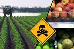 Součástí unijního plánu na ochranu klimatu, Zelené dohody pro Evropu, je i snaha o snížení pesticidů v evropském zemědělství