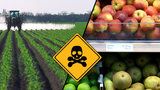 Brusel zakázal „jedovaté“ pesticidy: Potraviny kvůli tomu zdraží, varují zemědělci