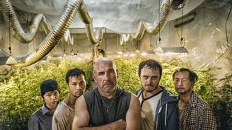 Vietnamci, marihuana a smrt. Nový český seriál Pěstírna vás dostane do diváckého rauše