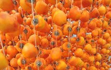 Oranžový zázrak plný vitaminů! Vypadá jako broskev, voní jako vanilka a je to kaki
