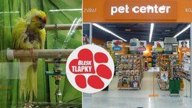 Síť zverimexů Pet Center čelí obvinění ze špatného zacházení se zvířaty.