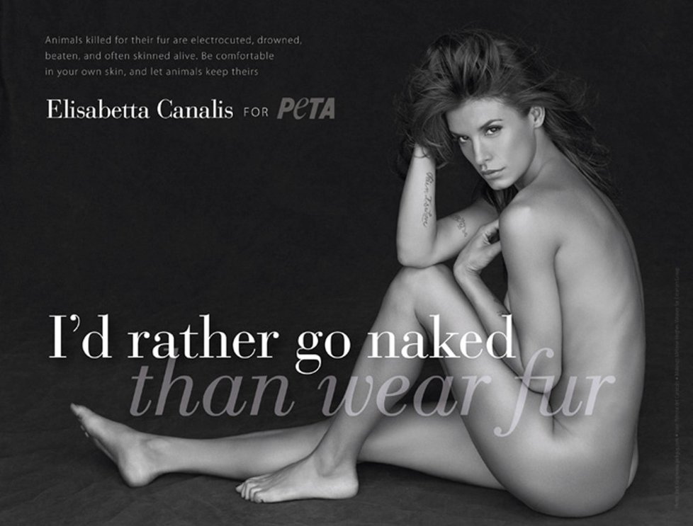 Elisabetta Canalis