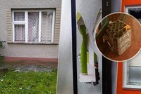 Rozbili mi barák! Silvestrovské drama na Uherskohradišťsku: Výbuch rachejtlí poničil domy!