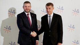 Český premiér Andrej Babiš se slovenským premiérem Peterem Pellegrini během summitu zemí Visegrádské skupiny (V4) a Rakouska v Národním muzeu v Praze. (16. 1. 2020)