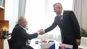 Slovenský prezident Peter Pellegrini navštívil českého exprezidenta Miloše Zemana (26.6.2024).