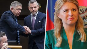 Čaputovou nahradí Ficův parťák? Pellegrini oznámil kandidaturu na slovenského prezidenta