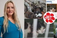 Zvířecí záchranáři: Města se nestarají o toulavá zvířata. Kastrujme kočky povinně, vyzývá petice