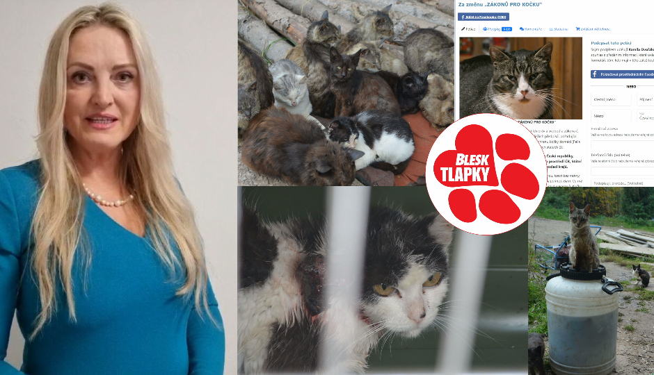 Petice za záchranu nechtěných, přemnožených koček. Pomůže jen kastrace a čipování