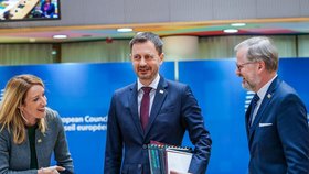 Premiér Petr Fiala (ODS) na jednání Evropské rady (30. 5. 2022)