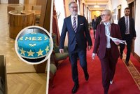 Fiala stěhuje krabice, Dvořák dostal dort: Jak se premiér a ministři loučí se svými úřady?