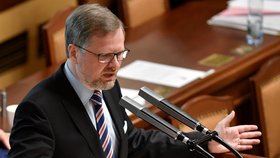 Podle předsedy ODS Petra Fialy má vláda v demisi pouze svítit a topit
