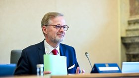 Premiér Petr Fiala (ODS) při jednání vlády. (22. května 2024)