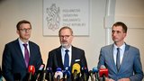 Velký přehled Blesku o platech politiků: Berou i přes 5 milionů ročně!
