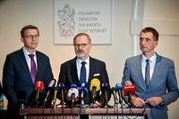 Velký přehled Blesku o platech politiků: Berou i přes 5 milionů ročně!