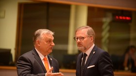 Summit NATO: Premiér Petr Fiala a maďarský premiér Viktor Orbán (24.3.2022)