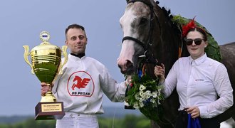 Přepište dějiny! Derby vyhrál bílý kůň. Poprvé za 106 let. Žokej Foret: Tvrdá práce Přepište dějiny! Derby vyhrál bílý kůň. Poprvé za 106 let. Žokej Foret: Tvrdá práce