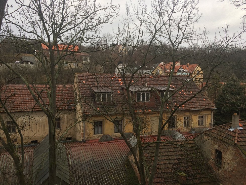 I když to není výhled na Staré Město a kostel sv. Mikuláše, má podle Petra Hlubučka něco do sebe. Zvláště na jaře a v létě, kdy se stromy zelenají.