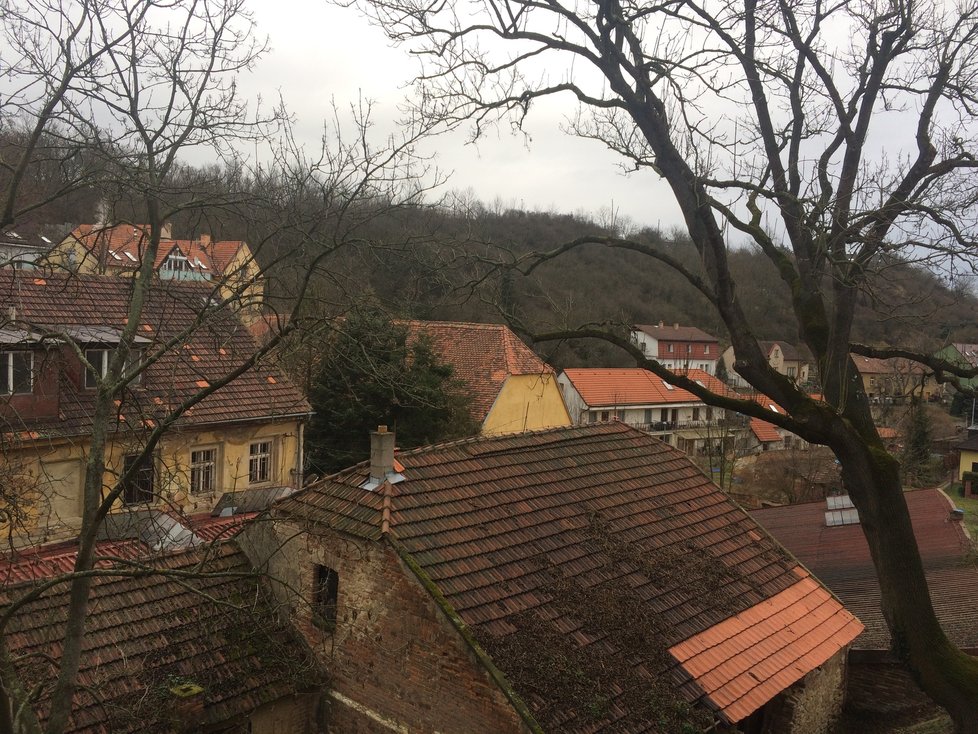 I když to není výhled na Staré Město a kostel sv. Mikuláše, má podle Petra Hlubučka něco do sebe. Zvláště na jaře a v létě, kdy se stromy zelenají.