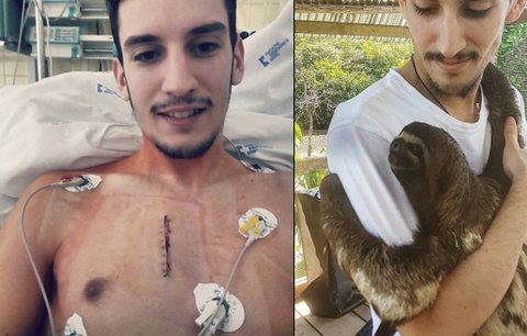 Petra s rakovinou skosily vysoké horečky: V Peru ho léčí lenochod!