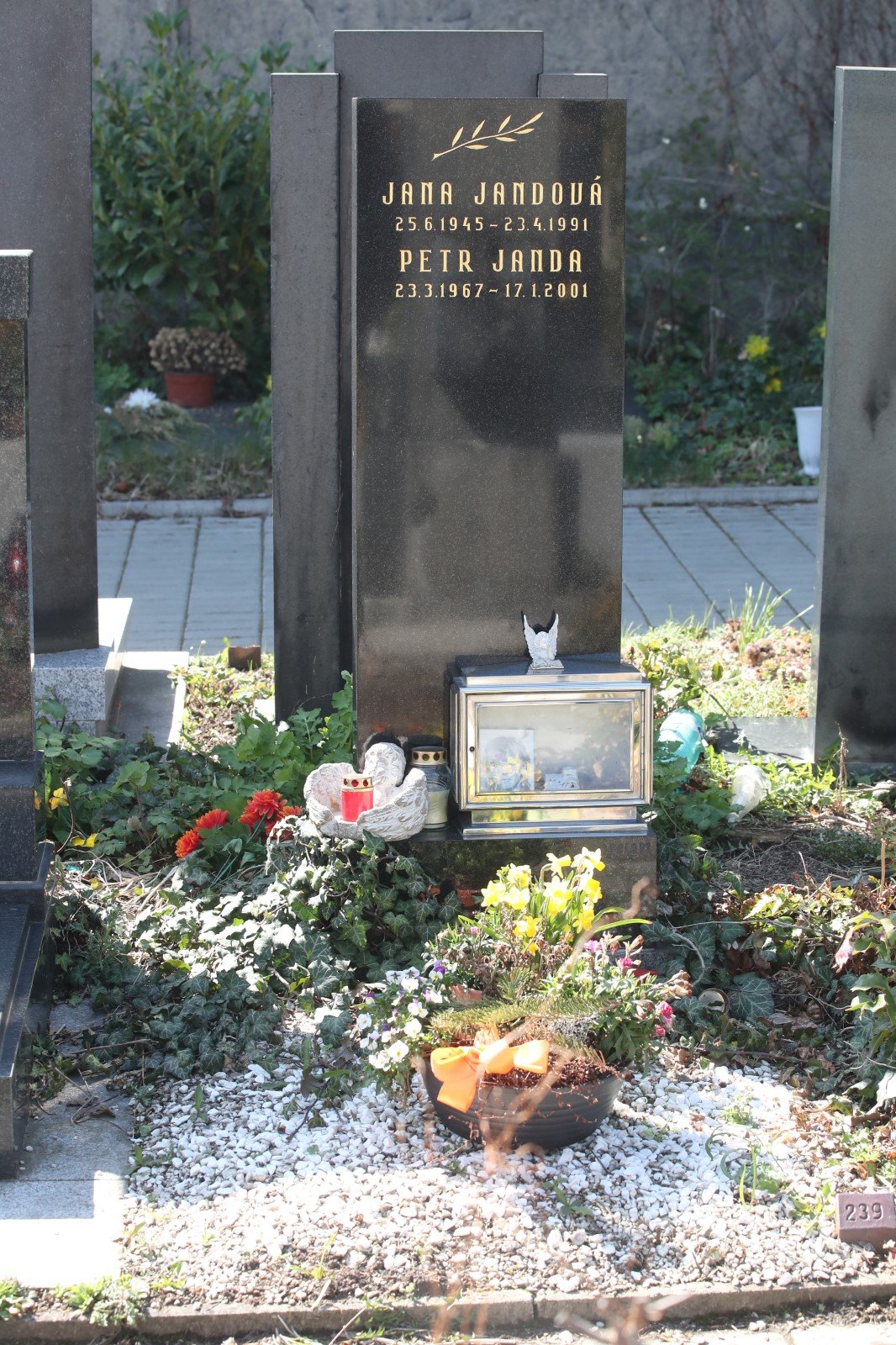 Hrob Jany a Petra Jandových.