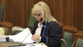 Jana Rejžková hodlá soud přesvědčit o nevině svého klienta.