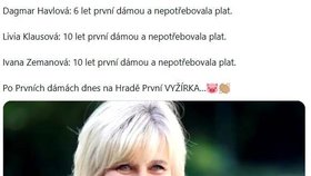 Macinka v říjnu 2024 útočil na Hrad a Evu Pavlovou.