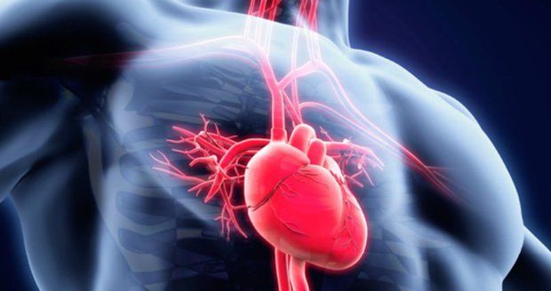 Češi jsou mistry v transplantaci srdce. Nové získalo 700 lidí za deset let | Blesk.cz