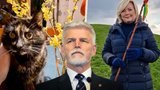 Velikonoce politiků: Pavel je tráví s Mickou, Schillerová vytáhla mrskút, velvyslanec mazanec