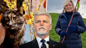 Prezident Petr Pavel tráví Velikonoce se svojí kočkou Mickou, místopředsedkyně ANO Alena Schiilerová s pomlázkou.