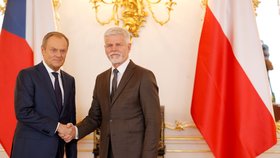 Polský premiér Donald Tusk na Pražském hradě u prezidenta Petra Pavla (27.2.2024)