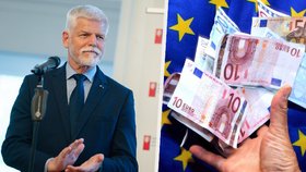 Pavel se vyslovil pro přijetí eura. Negativní mínění o něm prý vytváří část politiků