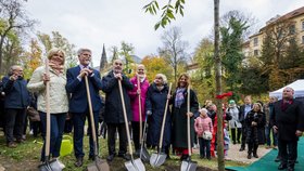 Prezident Petr Pavel s manželkou Evou vysadili na Pražském hradě 90. strom Olgy Havlové. (10.11.2023)