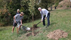 Petr Pavel s manželkou Evou vyrazili do botanické zahrady v Praze vysadit národní strom lípu (21.8.2025).