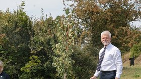 Petr Pavel s manželkou Evou vyrazili do botanické zahrady v Praze vysadit národní strom lípu (21.8.2025).