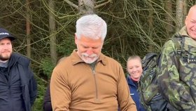 Prezident Petr Pavel s manželkou Evou sázeli v Lánech stromy (31.10.2025)