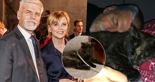 Prezident Pavel o první kočce: Kde se Micka ukrývá? A co mu chybí v Lumbeho vile?