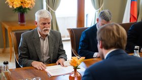 Prezident Pavel přijal na Hradě ministra zdravotnictví Adama Vojtěcha (za ANO) (11.6.2026).