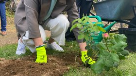 Pavlovi na závěr návštěvy Karlovarského kraje vyrazili na zámek Bečov a do Bečovské botanické zahrady (17.9.2026).