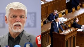 Jednodušší vyhazov úředníků: Koalice se chystá ve Sněmovně přehlasovat prezidentovo veto