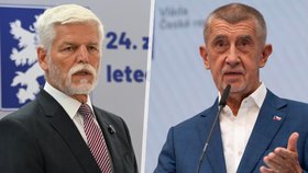 Petr Pavel a Andrej Babiš