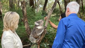 Na závěr turné po Austrálii český prezidentský pár navštívil národní park Cleland Wild Life Park nedaleko Adelaide.