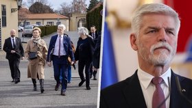 Pavel o bydlení v Lumbeho vile: Zemanová asi měla jiný vkus, působí to tam depresivně