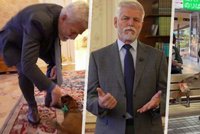 „Do pytle.“ Pavel pobavil na videu kuriózními záběry, Eva poslala zasněžený vzkaz